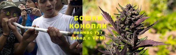 бошки Верхний Тагил