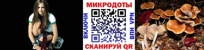 где найти наркотики  Новопавловск  omg онион  Галлюциногенные грибы мицелий 
